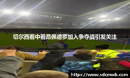 切尔西看中若昂佩德罗加入争夺战引发关注