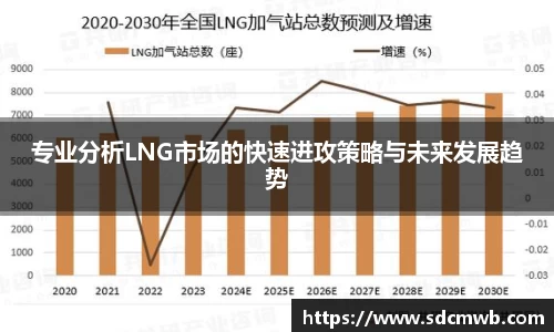 易游体育专业分析LNG市场的快速进攻策略与未来发展趋势